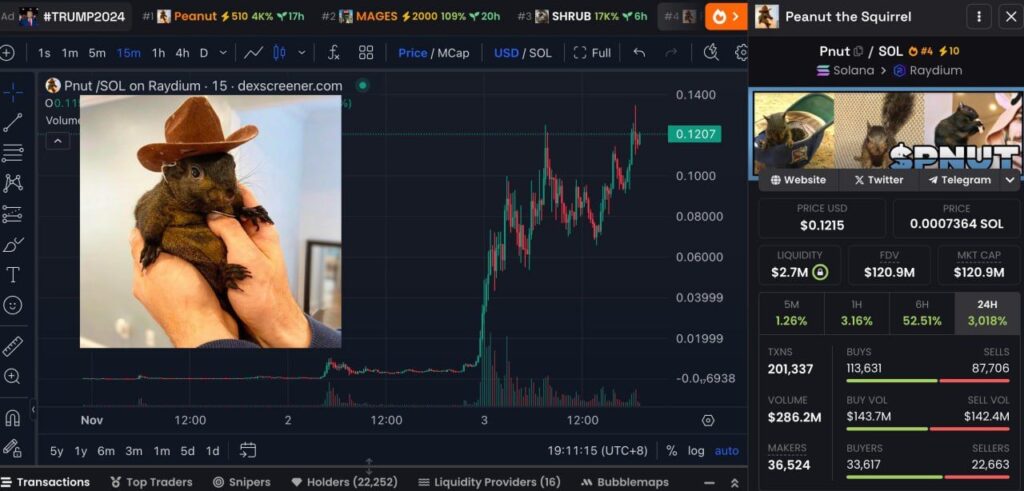 The Tale of Pnut, the Beloved Squirrel, and a Crypto Phenomenon 2 img 20250103 113630 633660122492742291980